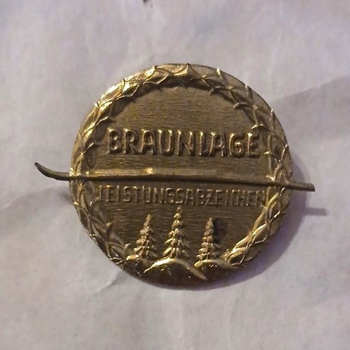 Anstecker pin braunlage - anstecker/pin,