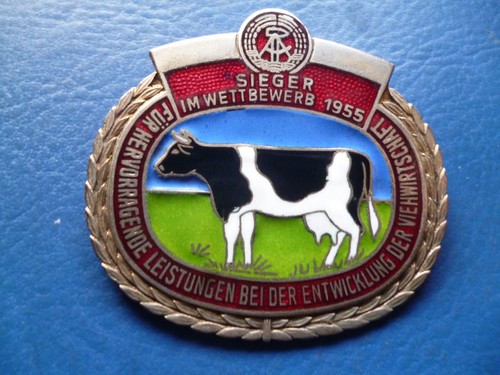 Sieger wettbewerbfür - sieger, im