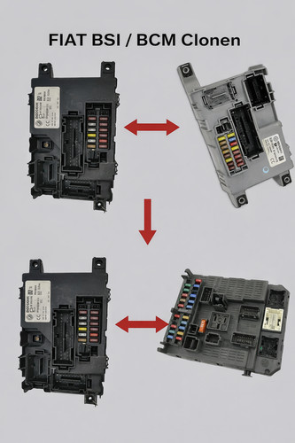 Dienstleistung fiat bsi bcm - fiat,