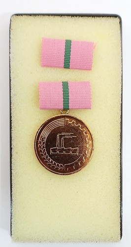 Ddr medaille hervorragende - medaille,